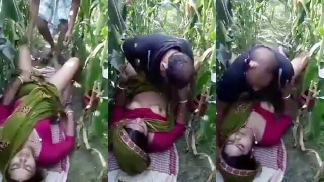 Village sarpanch affair with Bihari bhabhi in outdoor field sex
